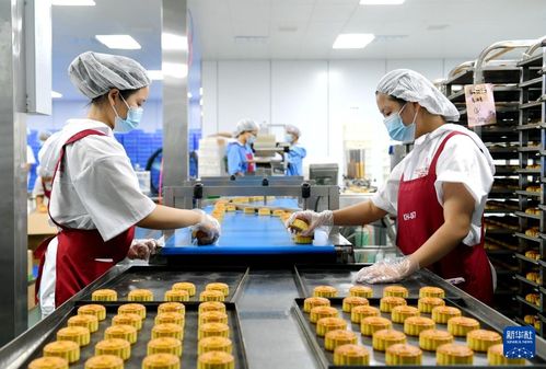 河北阜城 承接产业转移 打造食品产业基地