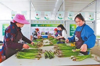 南昌新建区 绿色食品网上销售忙